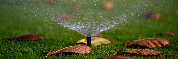 Sprinkler Maintenance